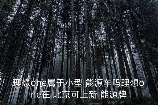 北京新能源目錄第三批,北京搖號(hào)新能源車(chē)型目錄