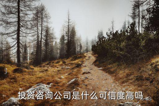  投資咨詢(xún)公司是什么可信度高嗎