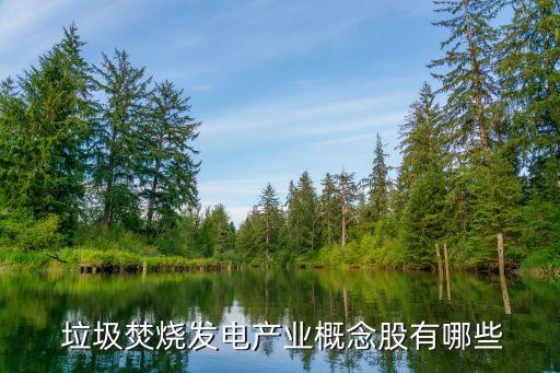  垃圾焚燒發(fā)電產業(yè)概念股有哪些