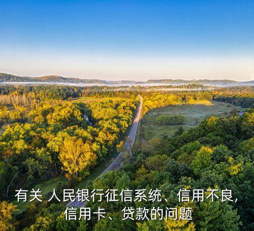 有關 人民銀行征信系統(tǒng)、信用不良, 信用卡、貸款的問題