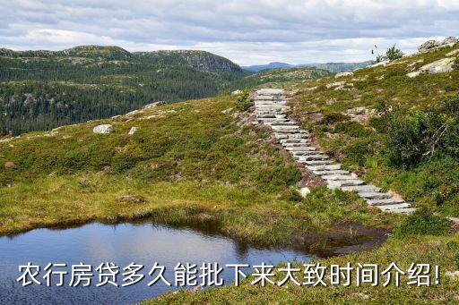 農業(yè)銀行放貸幾天到賬