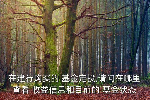 基金定投可以實(shí)時查詢收益嘛