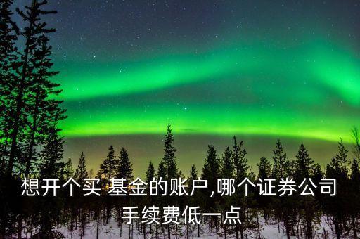 想開(kāi)個(gè)買(mǎi) 基金的賬戶(hù),哪個(gè)證券公司 手續(xù)費(fèi)低一點(diǎn)