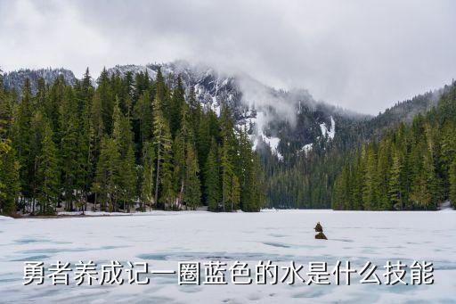 勇者養(yǎng)成記一圈藍色的水是什么技能