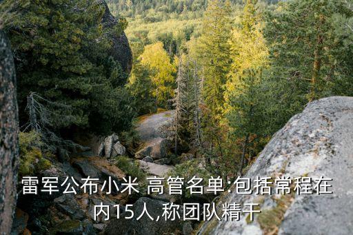 聯(lián)想集團(tuán)手機高管