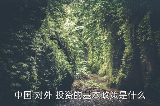 中國(guó)如何對(duì)外投資,如何查詢公司對(duì)外投資情況
