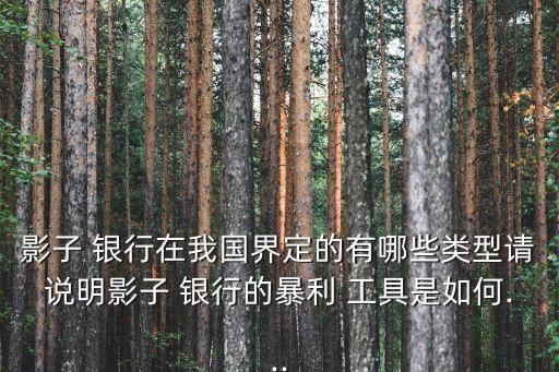 影子 銀行在我國(guó)界定的有哪些類型請(qǐng)說(shuō)明影子 銀行的暴利 工具是如何...