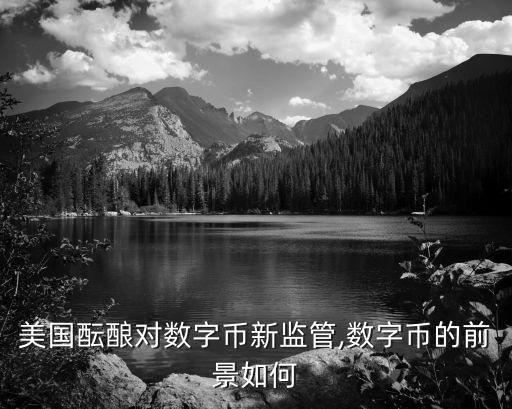 美國醞釀對(duì)數(shù)字幣新監(jiān)管,數(shù)字幣的前景如何