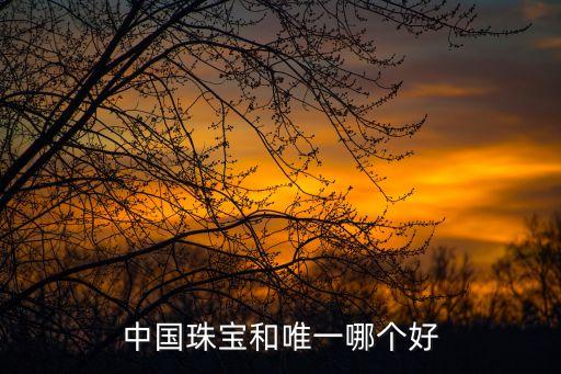 中國珠寶和唯一哪個好