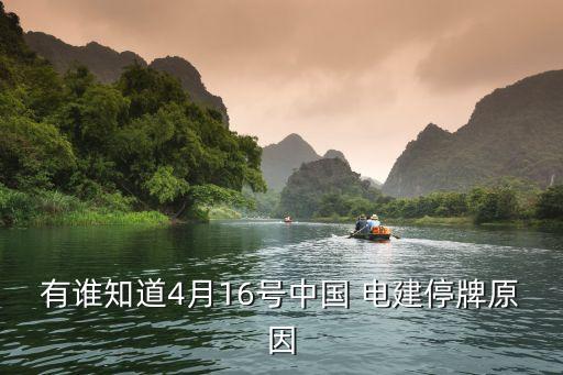 有誰知道4月16號(hào)中國 電建停牌原因