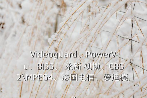 Videoguard、PowerVu、BISS、 永新 視博、CBS2\MPEG4、法國(guó)電信、愛(ài)迪德...
