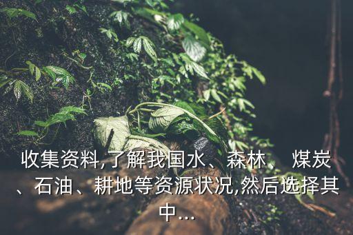收集資料,了解我國水、森林、 煤炭、石油、耕地等資源狀況,然后選擇其中...