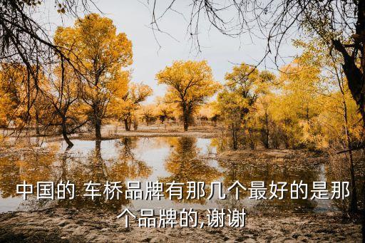 湖北車(chē)橋有限公司