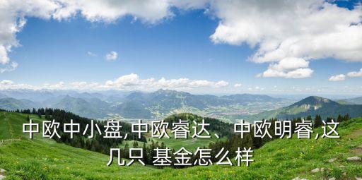 中歐中小盤,中歐睿達、中歐明睿,這幾只 基金怎么樣
