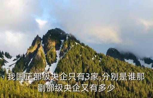 我國(guó)正部級(jí)央企只有3家,分別是誰那副部級(jí)央企又有多少