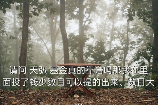 請問 天弘 基金真的靠譜嗎那我在里面投了錢少數(shù)目可以提的出來、數(shù)目大...