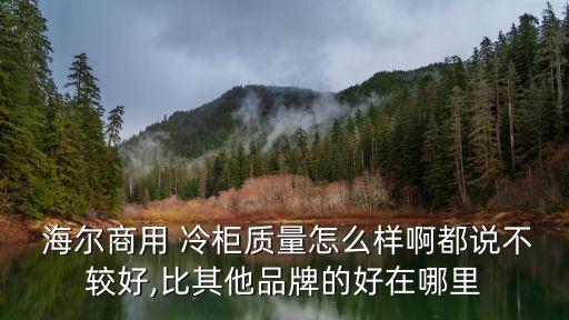  海爾商用 冷柜質(zhì)量怎么樣啊都說(shuō)不較好,比其他品牌的好在哪里