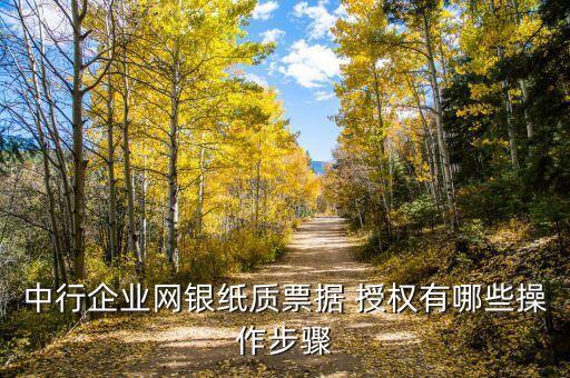 中行企業(yè)網銀紙質票據 授權有哪些操作步驟