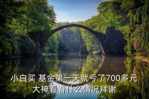 小白買(mǎi) 基金第一天就虧了700多元大神看看什么情況拜謝