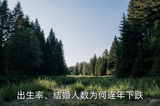 出生率、結(jié)婚人數(shù)為何連年下跌