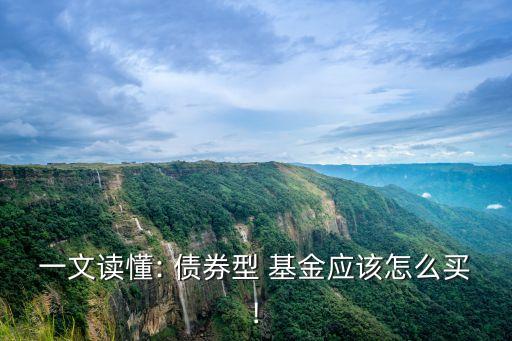 購(gòu)買債券基金的技巧,哪些債券基金值得購(gòu)買