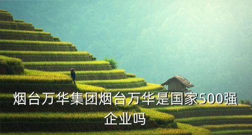 煙臺(tái)萬華集團(tuán)煙臺(tái)萬華是國家500強(qiáng)企業(yè)嗎