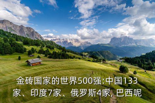 金磚國家的世界500強:中國133家、印度7家、俄羅斯4家, 巴西呢