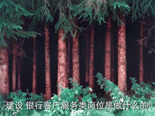 建設(shè) 銀行客戶(hù)服務(wù)類(lèi)崗位是做什么的