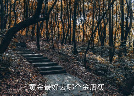 黃金最好去哪個(gè)金店買(mǎi)