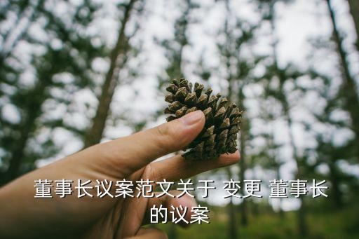  董事長議案范文關于 變更 董事長的議案