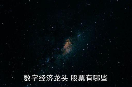 數字經濟龍頭 股票有哪些