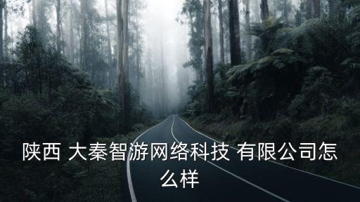 陜西 大秦智游網(wǎng)絡科技 有限公司怎么樣
