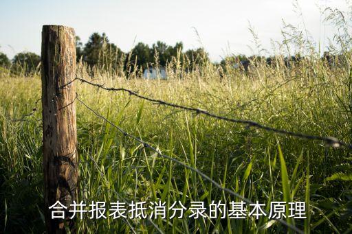  合并報表抵消分錄的基本原理