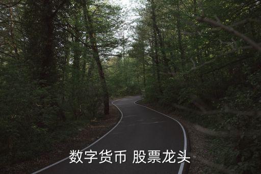 數字貨幣 股票龍頭