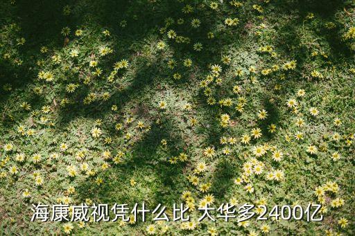 ?？低晳{什么比 大華多2400億