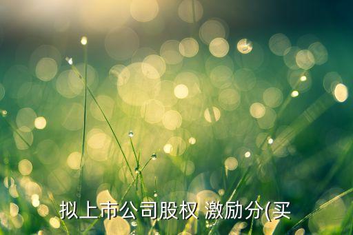 擬上市公司股權(quán) 激勵(lì)分(買(mǎi)