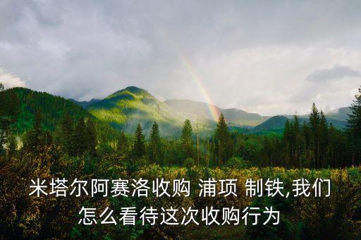 米塔爾阿賽洛收購 浦項(xiàng) 制鐵,我們?cè)趺纯创@次收購行為