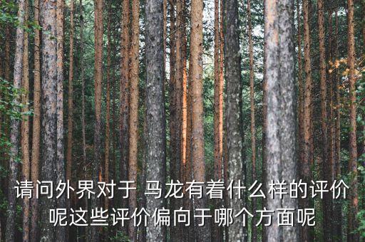 請問外界對于 馬龍有著什么樣的評價(jià)呢這些評價(jià)偏向于哪個方面呢