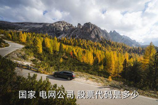 電網(wǎng)類(lèi)股票,國(guó)家電網(wǎng)上市公司股票