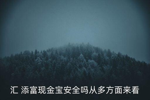 匯 添富現金寶安全嗎從多方面來看