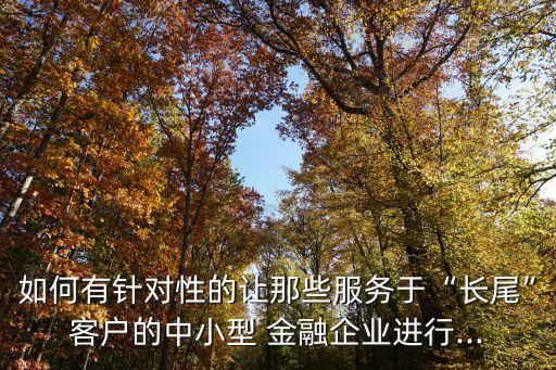 如何有針對性的讓那些服務(wù)于“長尾”客戶的中小型 金融企業(yè)進行...