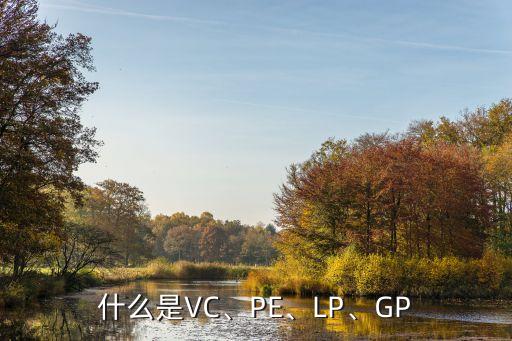 什么是VC、PE、LP、GP