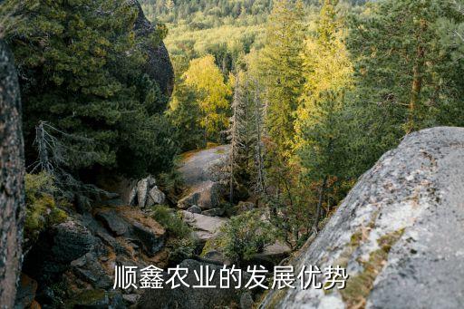 順鑫農業(yè)的發(fā)展優(yōu)勢