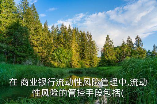 在 商業(yè)銀行流動性風險管理中,流動性風險的管控手段包括(