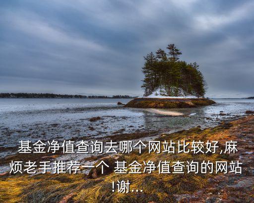  基金凈值查詢去哪個網站比較好,麻煩老手推薦一個 基金凈值查詢的網站!謝...