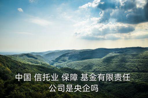 中國(guó) 信托業(yè) 保障 基金有限責(zé)任 公司是央企嗎