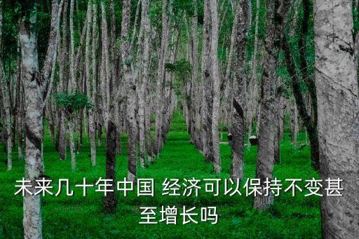 未來幾十年中國 經濟可以保持不變甚至增長嗎