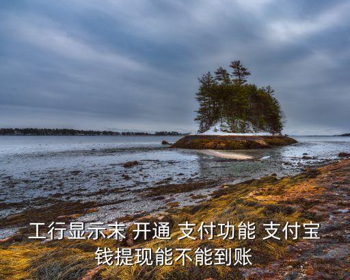 工行顯示末 開(kāi)通 支付功能 支付寶錢提現(xiàn)能不能到賬