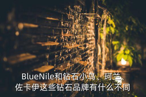 BlueNile和鉆石小鳥、珂蘭、佐卡伊這些鉆石品牌有什么不同