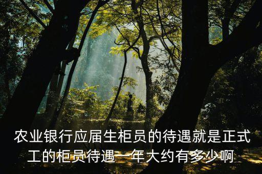  農業(yè)銀行應屆生柜員的待遇就是正式工的柜員待遇一年大約有多少啊
